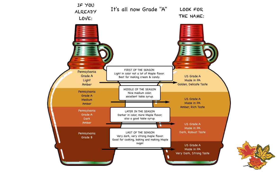 Maple Syrup Grades Chart